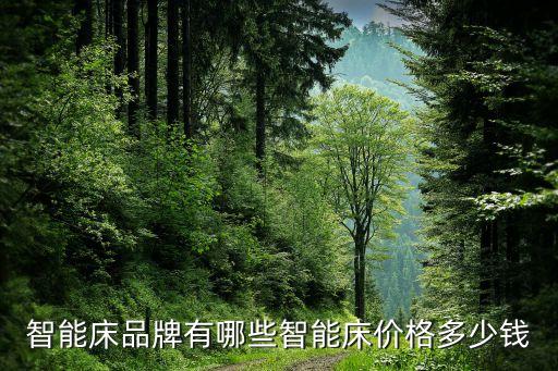 智能床品牌有哪些智能床价格多少钱