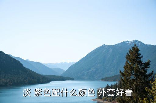 淡 紫色配什么颜色 外套好看