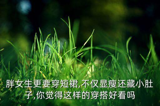 胖女生更要穿短裙,不仅显瘦还藏小肚子,你觉得这样的穿搭好看吗