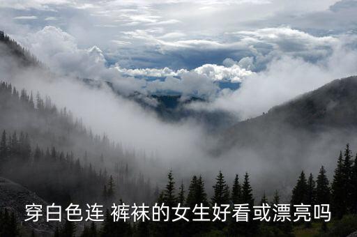 裙子白连裤袜