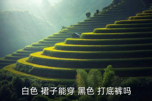 黑色裤子打底裙子好看吗