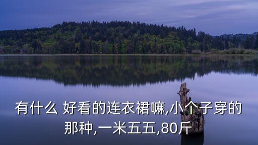 有什么 好看的连衣裙嘛,小个子穿的那种,一米五五,80斤