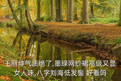 王丽坤气质绝了,墨绿网纱裙高级又显女人味,八字刘海低发髻 好看吗