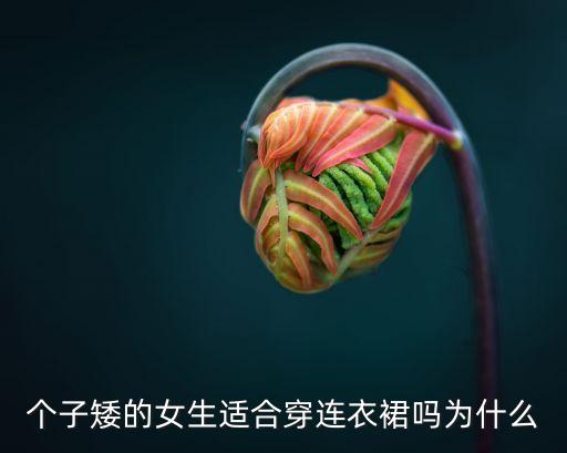 两岁女孩穿裙子好看吗图片,女孩春秋穿裙子配什么鞋好看