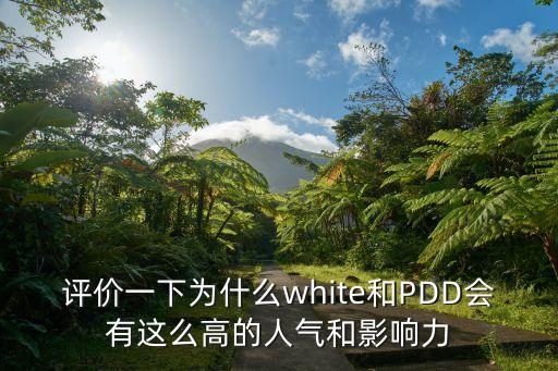 评价一下为什么white和PDD会有这么高的人气和影响力