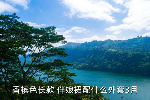 香槟色长款 伴娘裙配什么外套3月