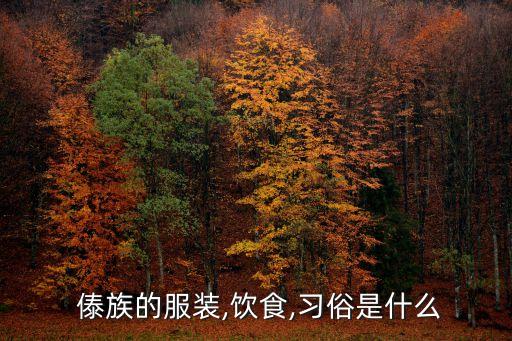  傣族的服装,饮食,习俗是什么