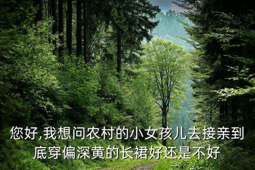 您好,我想问农村的小女孩儿去接亲到底穿偏深黄的长裙好还是不好