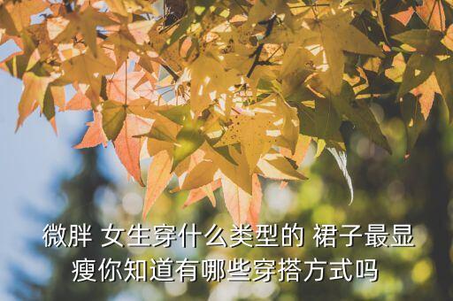  微胖 女生穿什么类型的 裙子最显瘦你知道有哪些穿搭方式吗