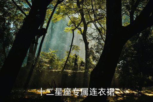 十二星座专属连衣裙