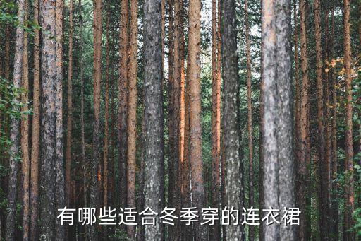 冬天好看的儿童裙子,冬天穿什么裙子最保暖又好看