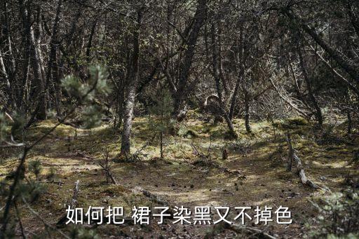 如何把 裙子染黑又不掉色