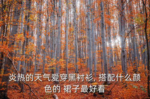 炎热的天气爱穿黑衬衫, 搭配什么颜色的 裙子最好看