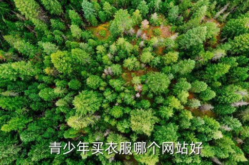 唯品会青少年的裙子