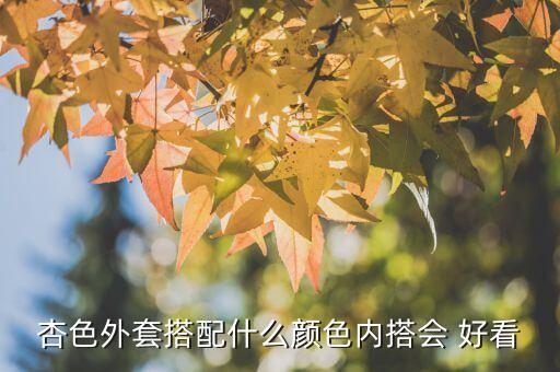 杏色外套搭配什么颜色内搭会 好看
