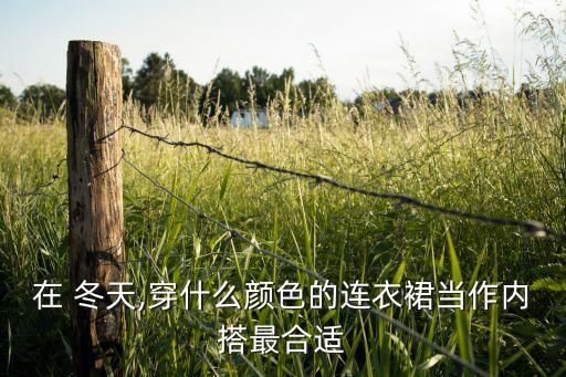 在 冬天,穿什么颜色的连衣裙当作内搭最合适