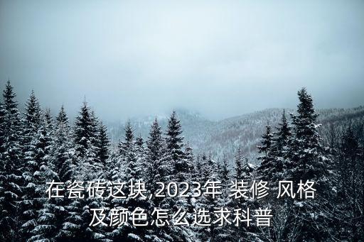 在瓷砖这块,2023年 装修 风格及颜色怎么选求科普