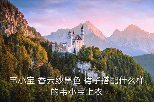 韦小宝 香云纱黑色 裙子搭配什么样的韦小宝上衣