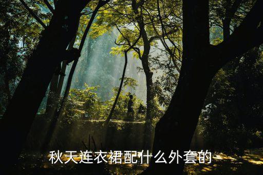 秋季穿搭裙子配皮衣,秋季的裙子夏季可以穿吗