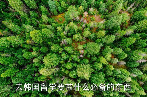 去韩国留学要带什么必备的东西