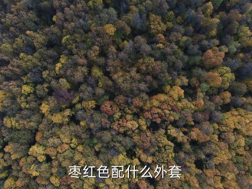 枣红色配什么外套
