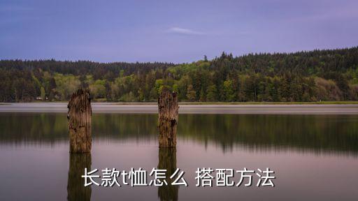长体恤裙子搭配裤子,黑色t恤搭配什么颜色裙子好看