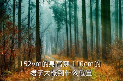 155穿搭裙子110,身高155穿多长的裙子