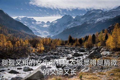 腿短大腿粗穿什么裙子,跨大腿粗腿短适合穿什么衣服
