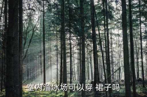 室内溜冰场可以穿 裙子吗