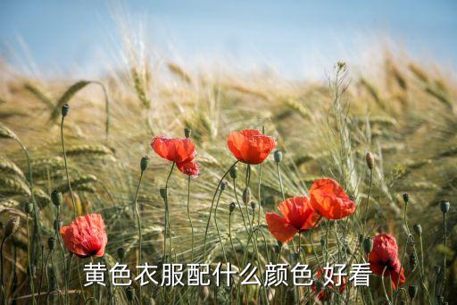 黄色衣服配什么颜色 好看