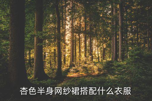 杏色半身网纱裙搭配什么衣服
