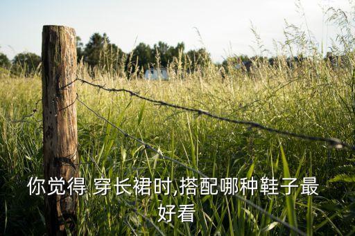 你觉得 穿长裙时,搭配哪种鞋子最 好看