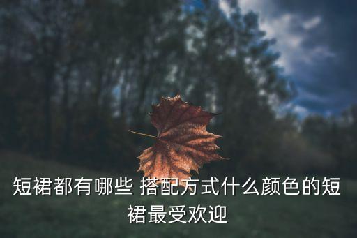 短裙都有哪些 搭配方式什么颜色的短裙最受欢迎