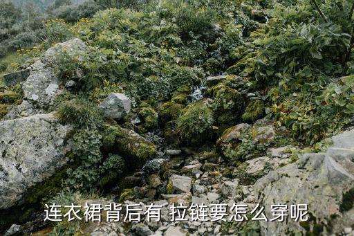 连衣裙背后有 拉链要怎么穿呢