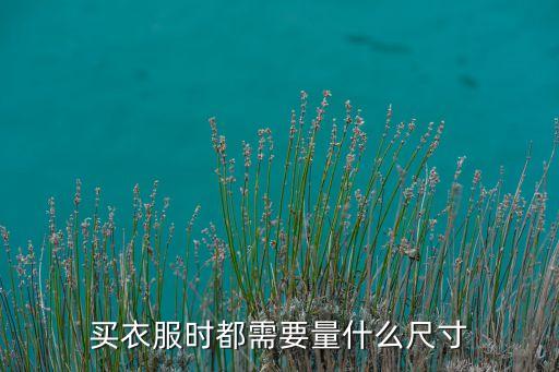 买衣服时都需要量什么尺寸