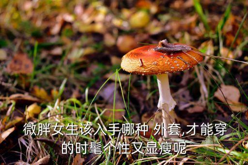  微胖女生该入手哪种 外套,才能穿的时髦个性又显瘦呢