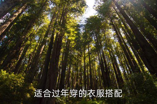 适合过年穿的衣服搭配