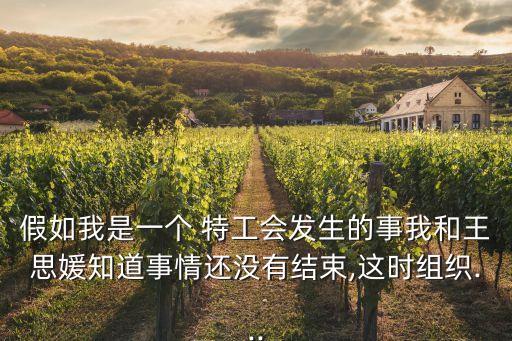 假如我是一个 特工会发生的事我和王思媛知道事情还没有结束,这时组织...