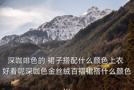 深咖啡色的 裙子搭配什么颜色上衣 好看呢深咖色金丝绒百褶裙搭什么颜色...