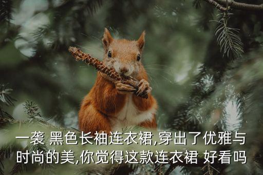 一袭 黑色长袖连衣裙,穿出了优雅与时尚的美,你觉得这款连衣裙 好看吗