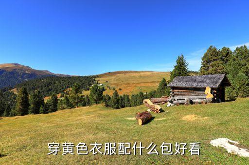 穿黄色衣服配什么包好看
