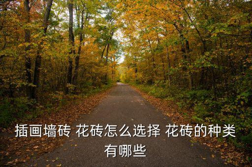 插画墙砖 花砖怎么选择 花砖的种类有哪些