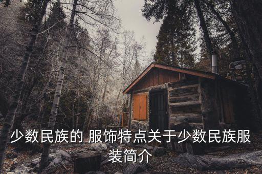 少数民族的 服饰特点关于少数民族服装简介