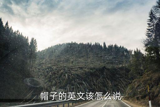  帽子的英文该怎么说