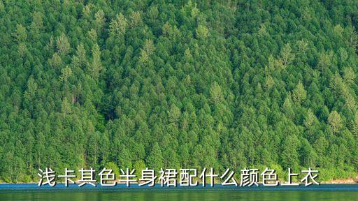 浅卡其色半身裙配什么颜色上衣