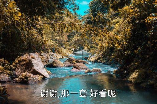 谢谢,那一套 好看呢
