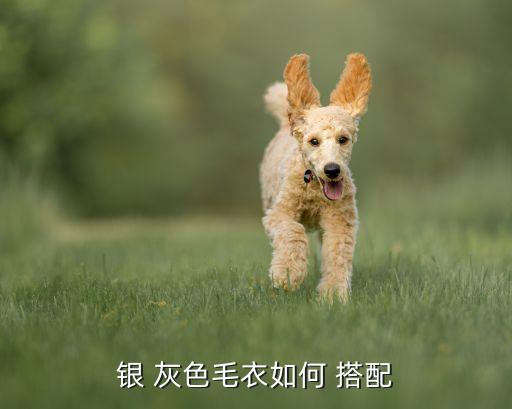 银 灰色毛衣如何 搭配