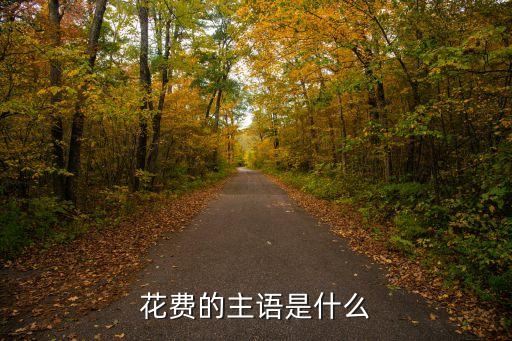 花费的主语是什么