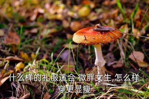 什么样的礼服适合 微胖女生,怎么样穿更显瘦