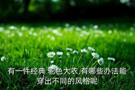 有一件经典 驼色大衣,有哪些办法能穿出不同的风格呢